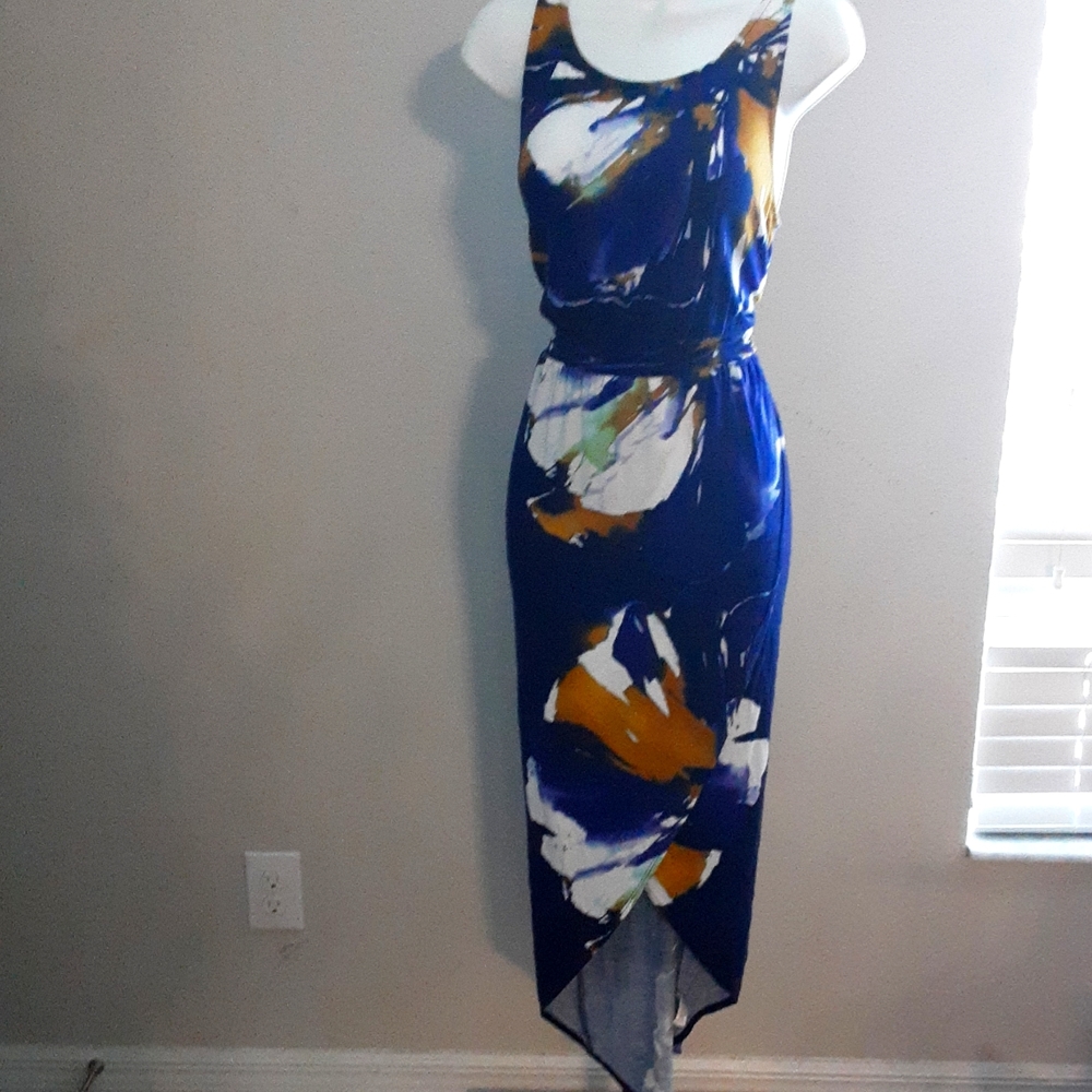 Long Sleeveless Dress